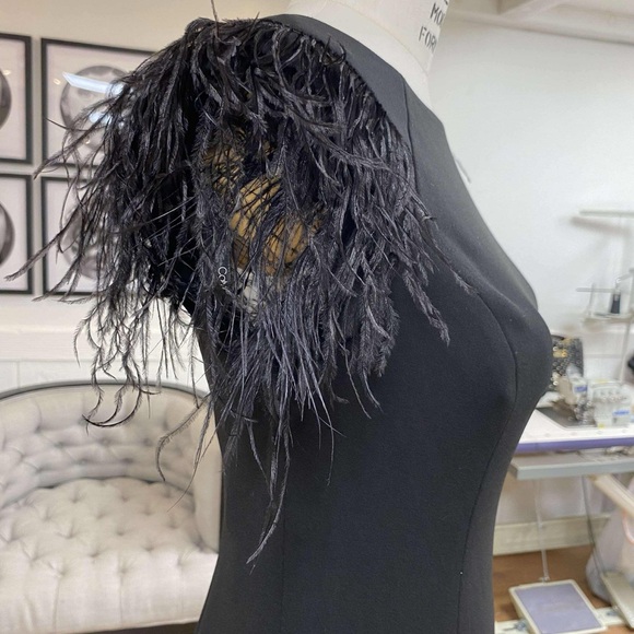 Elegant Black Dress with Feathered Sleeves - Picture 4 of 7